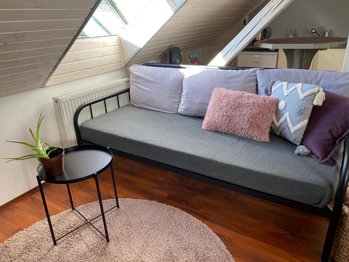 Apartmany Rudik Железна-Руда Экстерьер фото